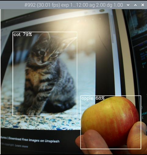 检测苹果和猫的物体